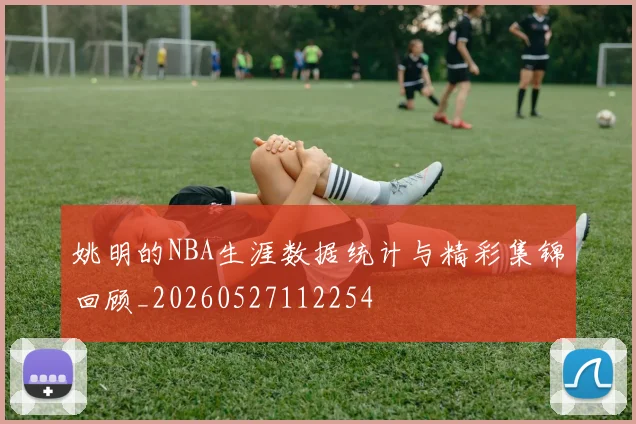姚明的NBA生涯数据统计与精彩集锦回顾_20260527112254