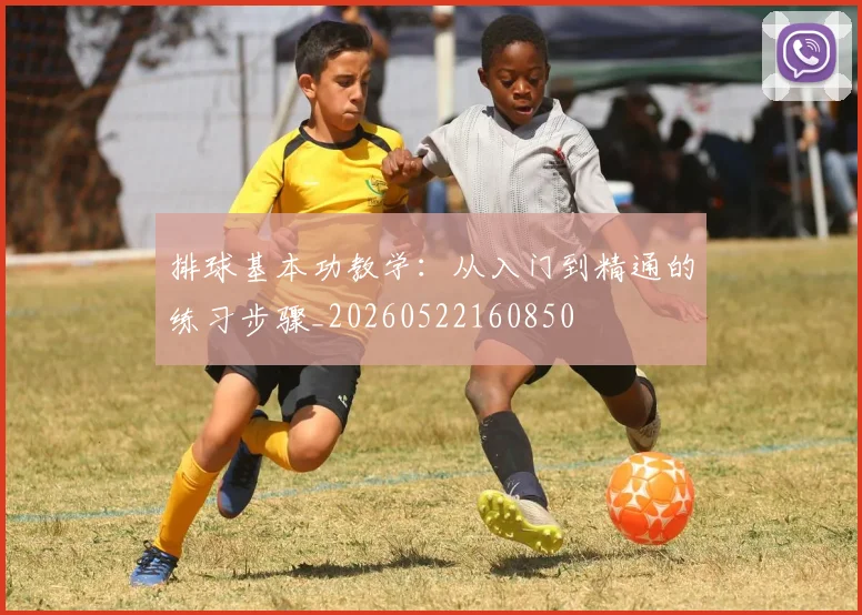 排球基本功教学：从入门到精通的练习步骤_20260522160850