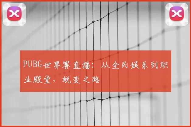 PUBG世界赛直播:从全民娱乐到职业殿堂,蜕变之路