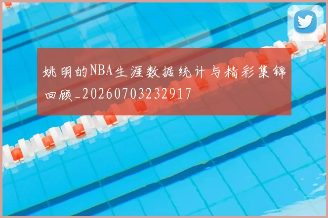 姚明的NBA生涯数据统计与精彩集锦回顾_20260703232917