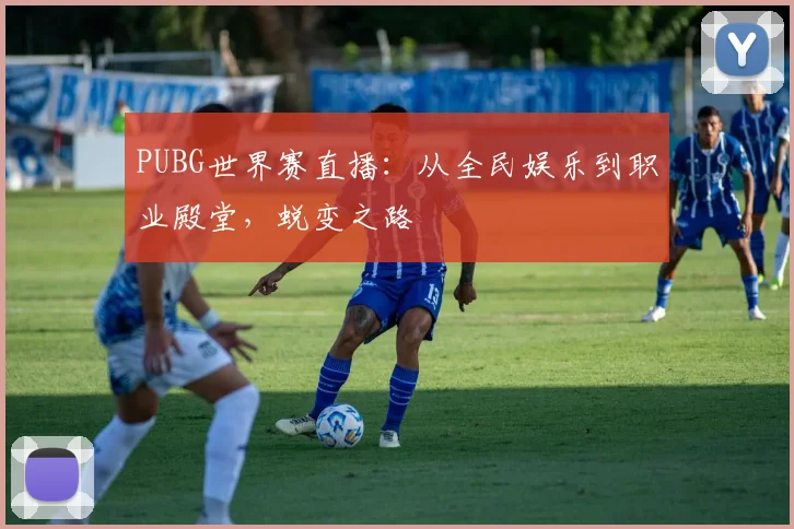 PUBG世界赛直播：从全民娱乐到职业殿堂，蜕变之路