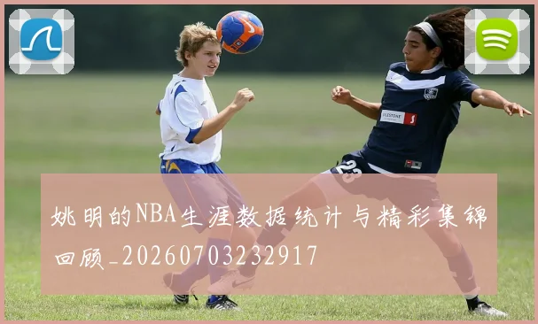 姚明的NBA生涯数据统计与精彩集锦回顾_20260703232917